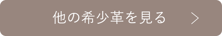 他の希少革を見る